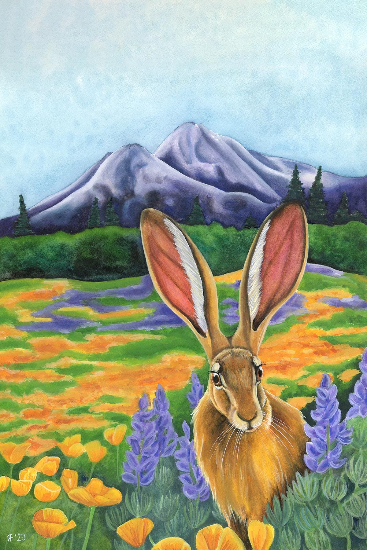Jackrabbit Watercolor Print | Mt. Shasta Wildflower Art | California Poppies & Lupines | Rabbit Landscape | Nature Wall Art