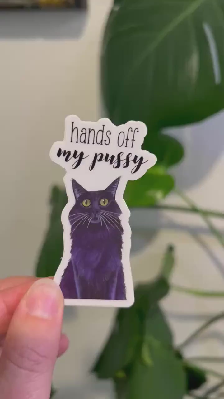 Black Cat Sticker | Hands Off My Pussy | Feminist Political Sticker | Cat Lover Gift | Activist Sticker