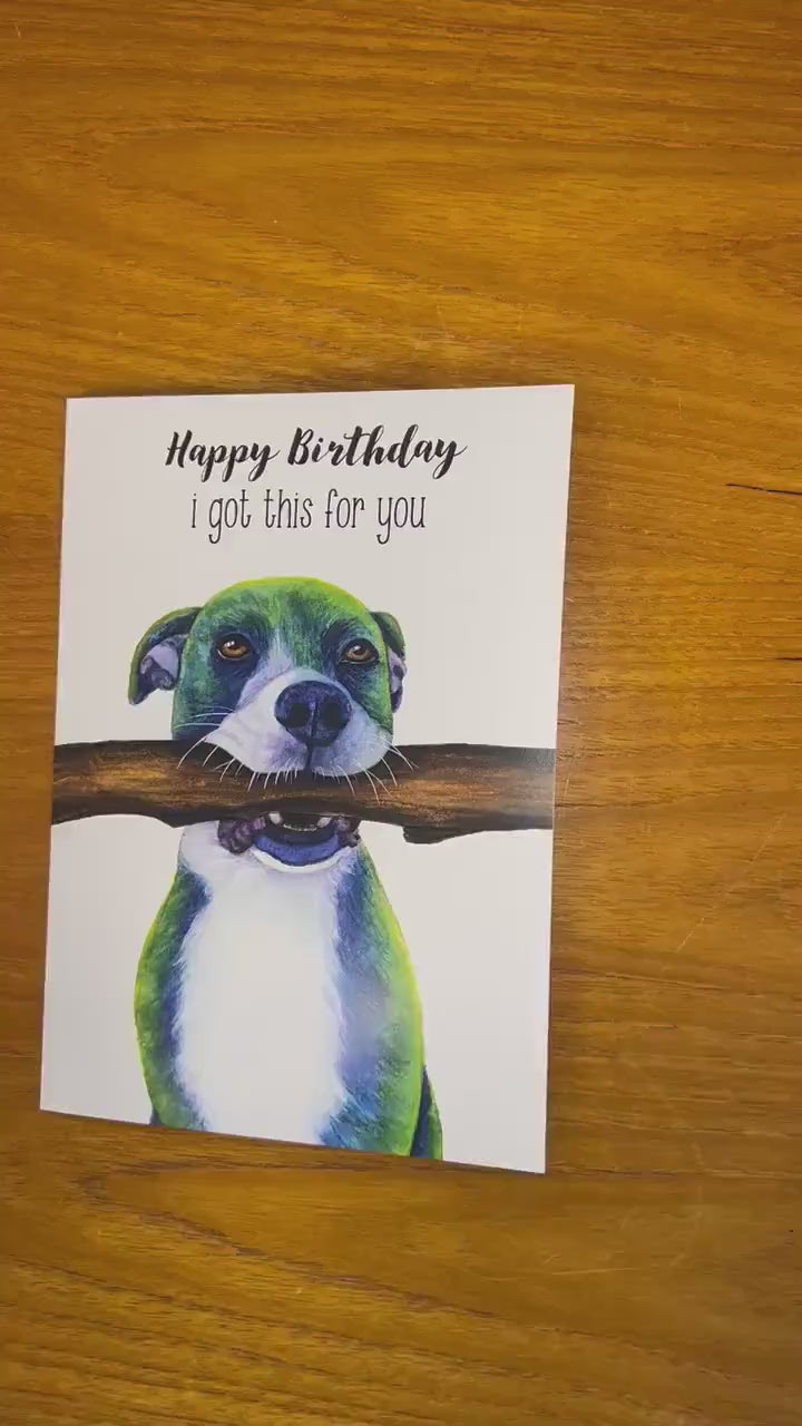 Happy Birthday, I got this for You —  Blue Pit Bull Dog Birthday Card, Card From Dog, Animal Birthday Card, Funny Birthday Card