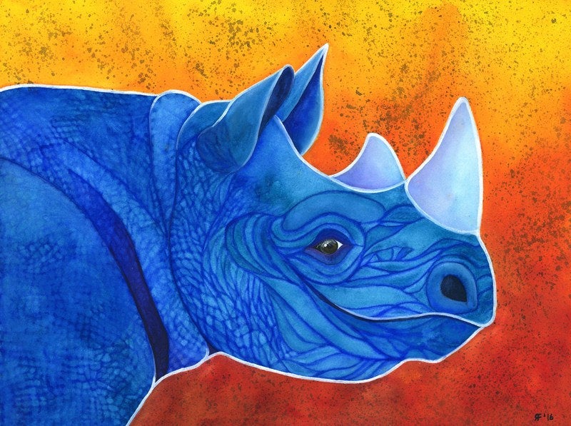 Black Rhinoceros
