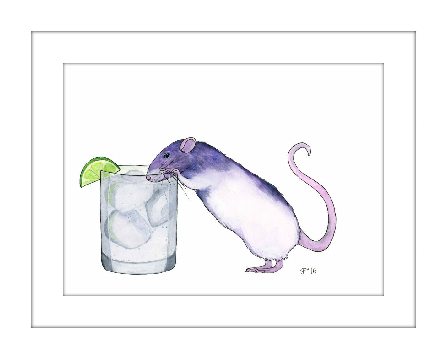 Gina's Gins and Tonic