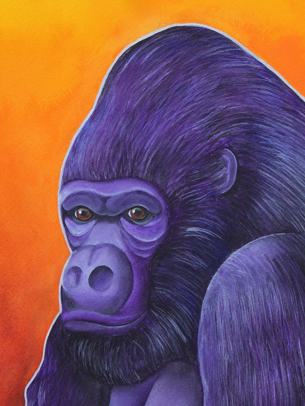 Lowland Gorilla