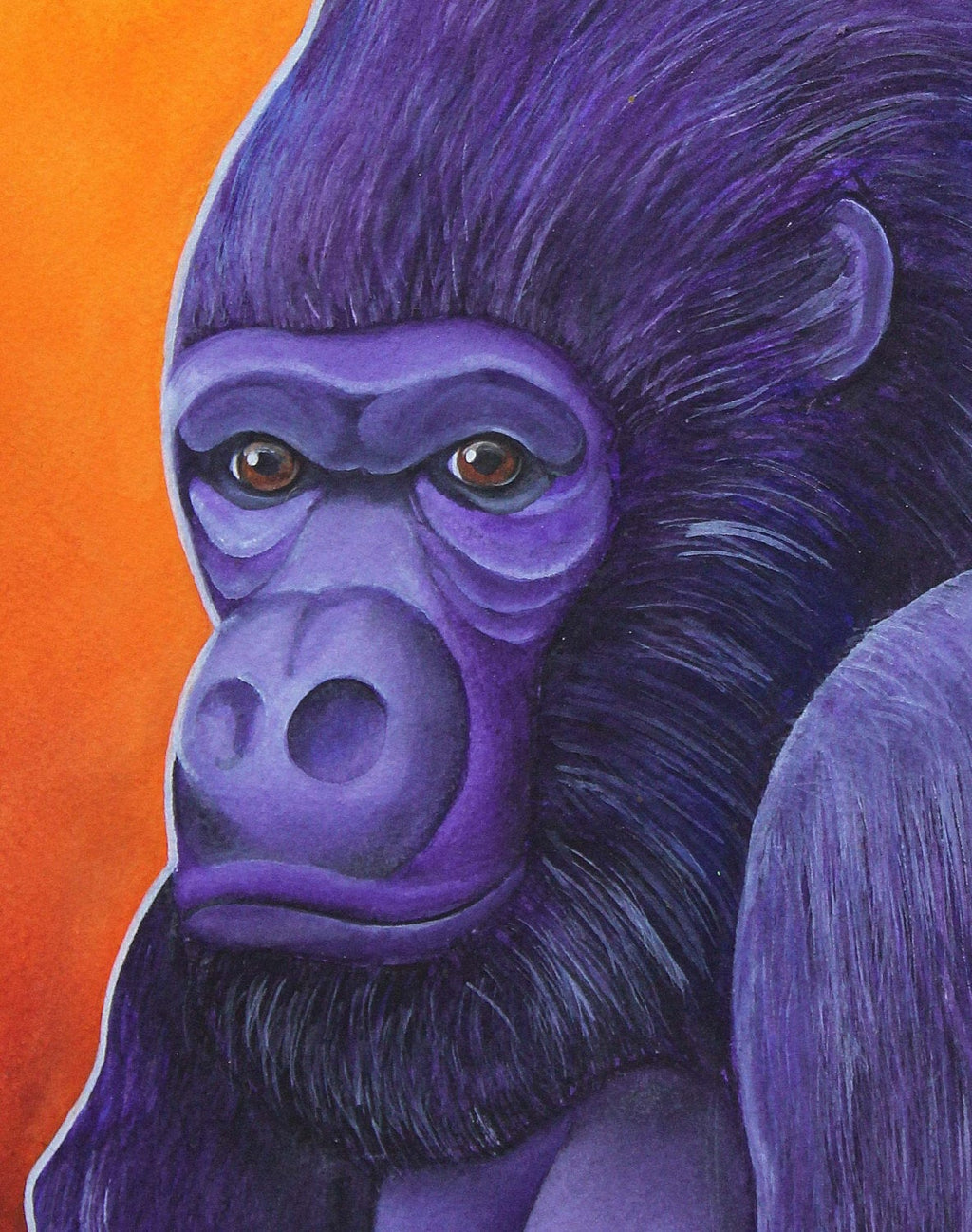 Lowland Gorilla