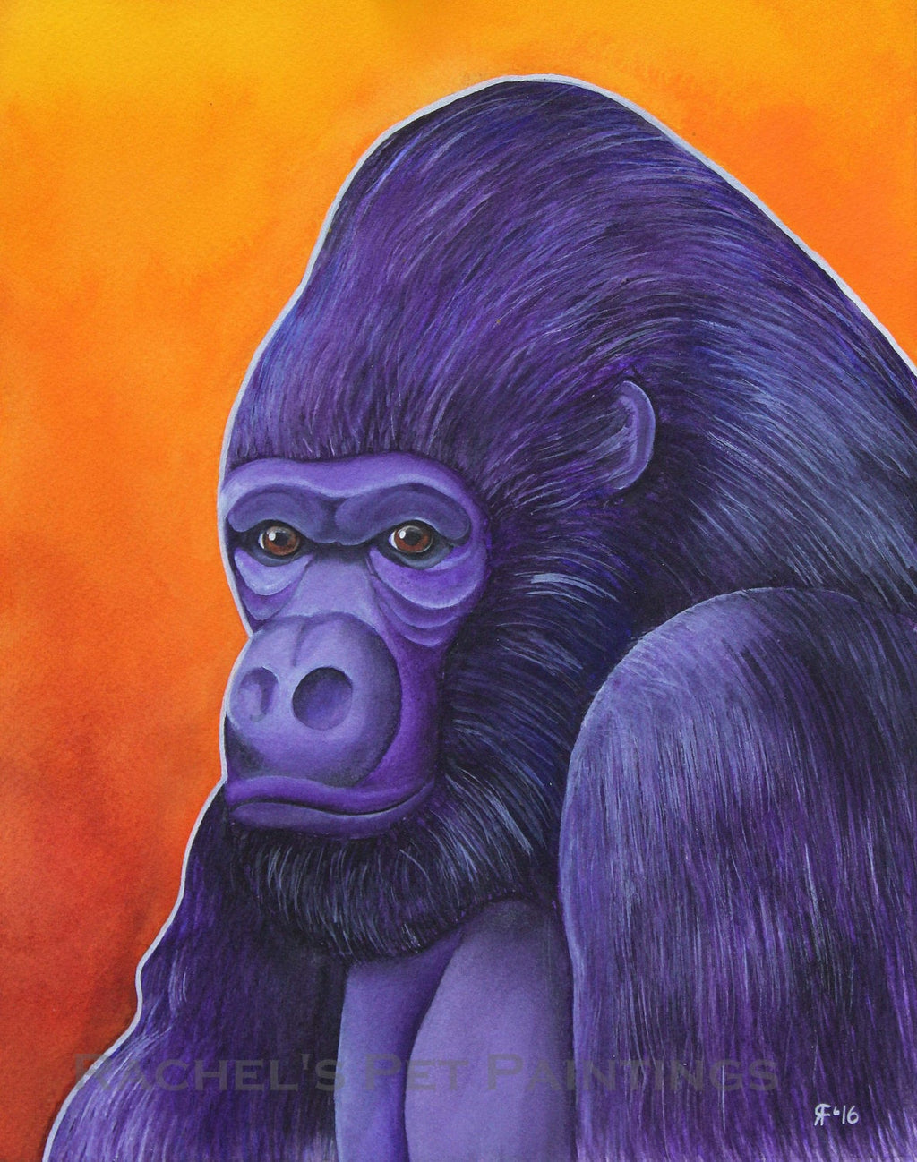 Lowland Gorilla