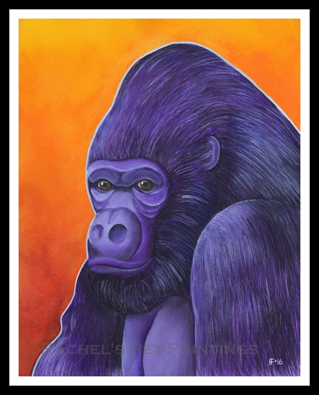 Lowland Gorilla