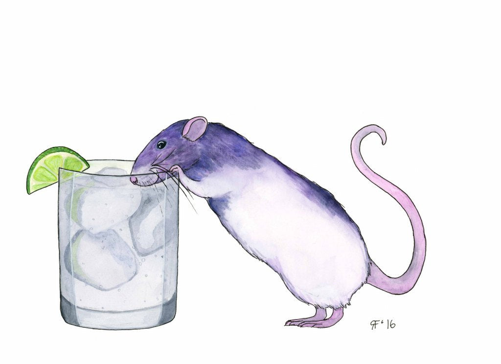 Gina's Gins and Tonic