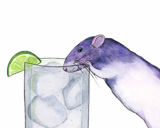 Gina's Gins and Tonic