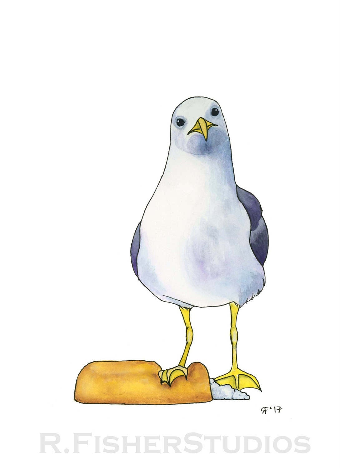 America'a Favorite Pastry Gull