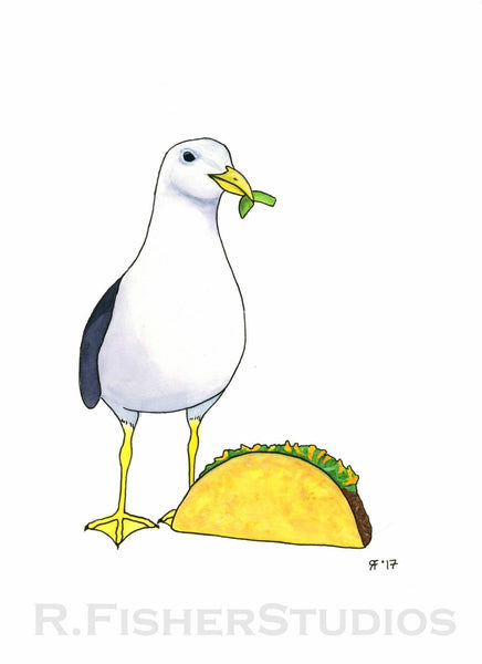 American Taco Gull