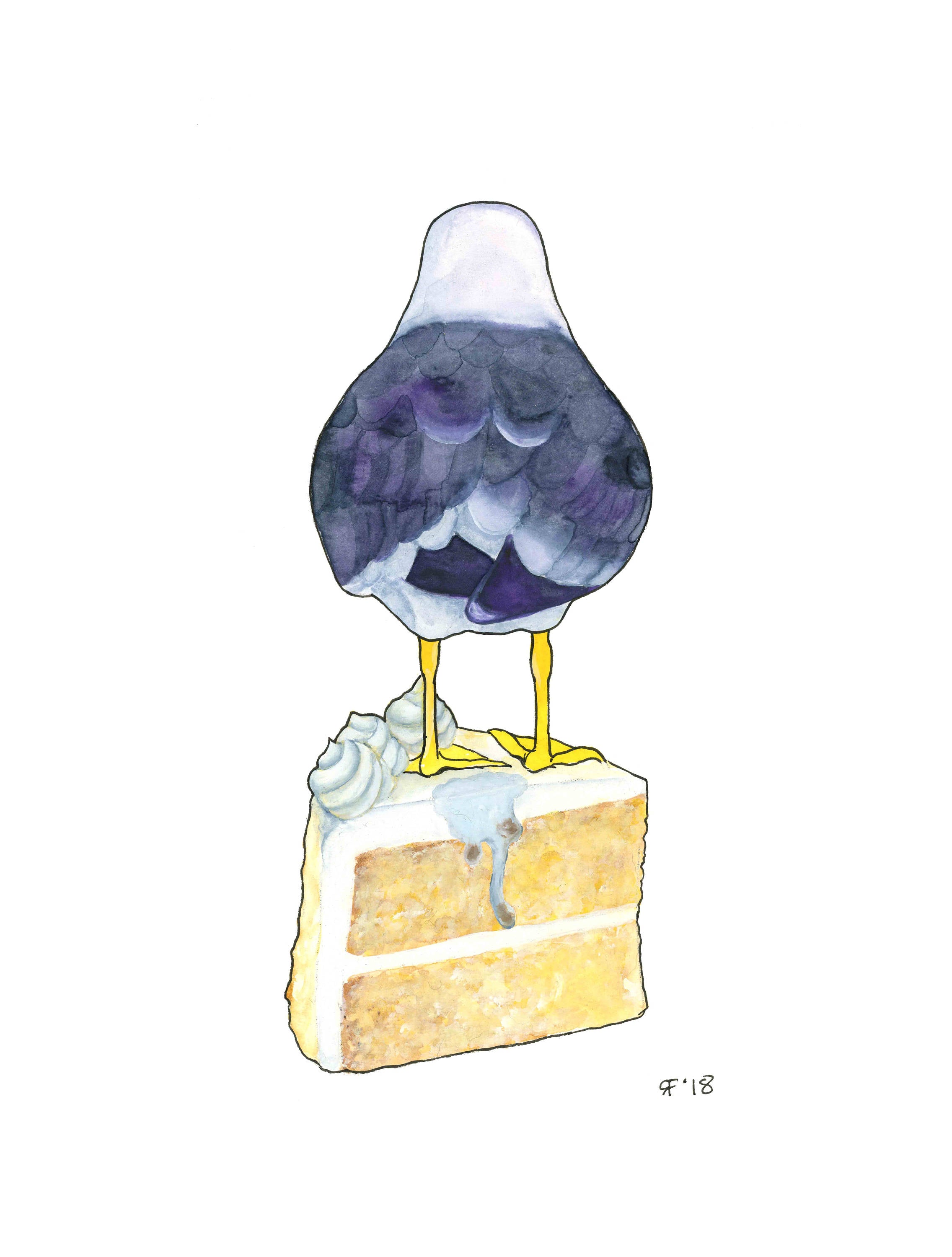 American Cake Gull