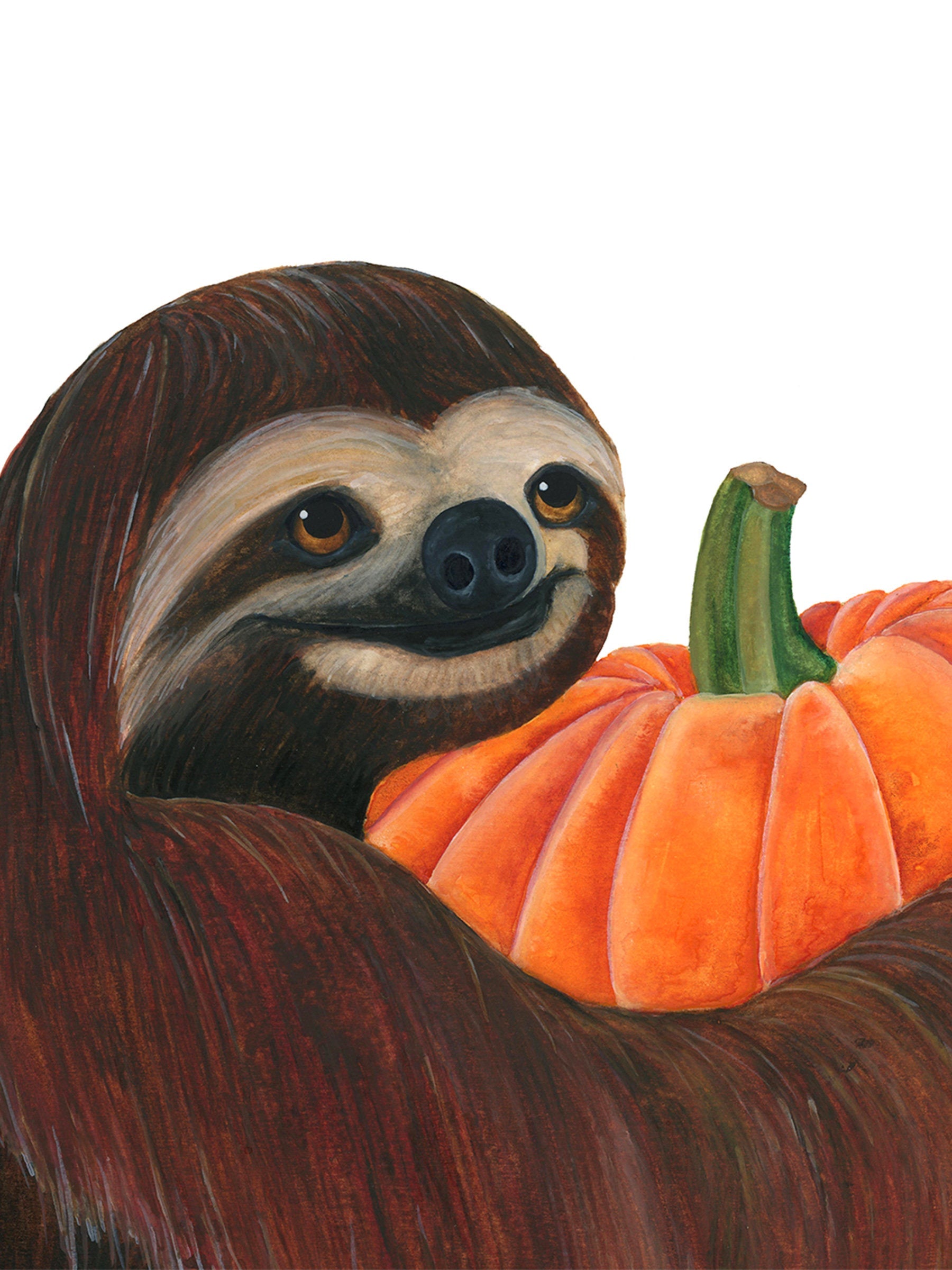 Wilbur the Sloth Loves His Pumpkin