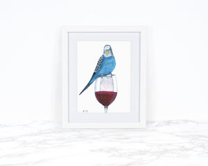 Budgie and Red Wine