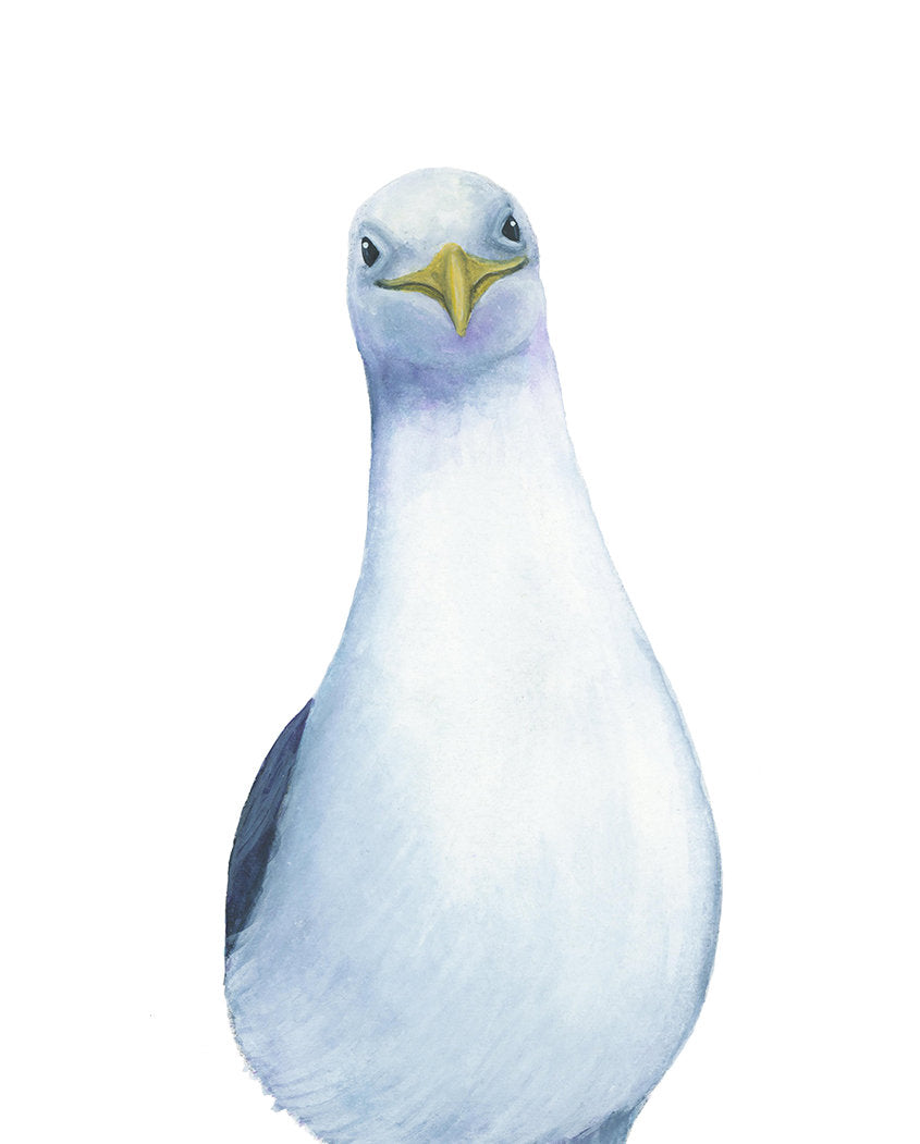 American Ice Cream Gull