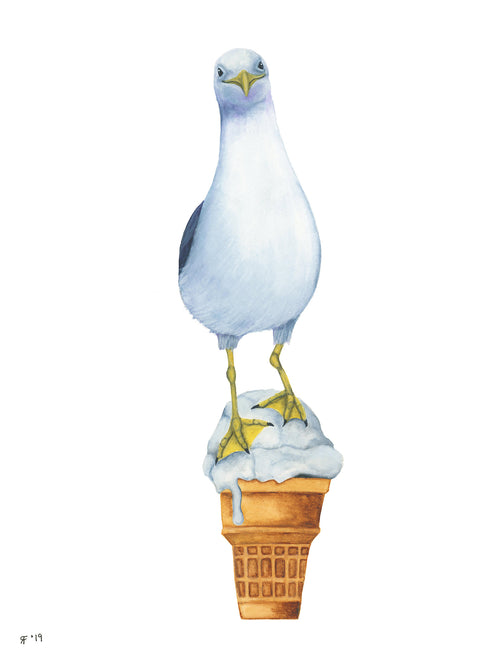 American Ice Cream Gull
