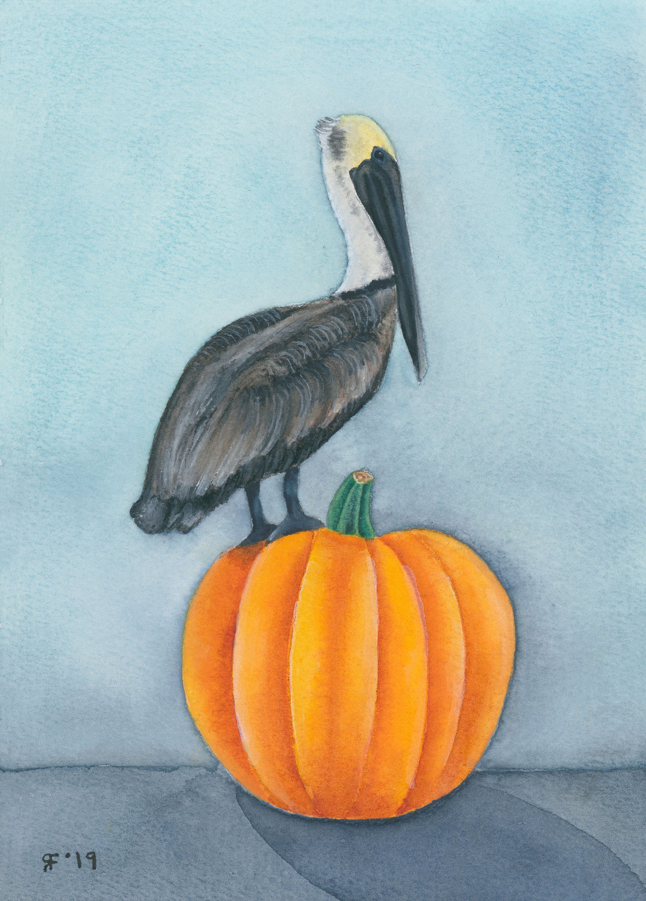 Pumpkin Pelican