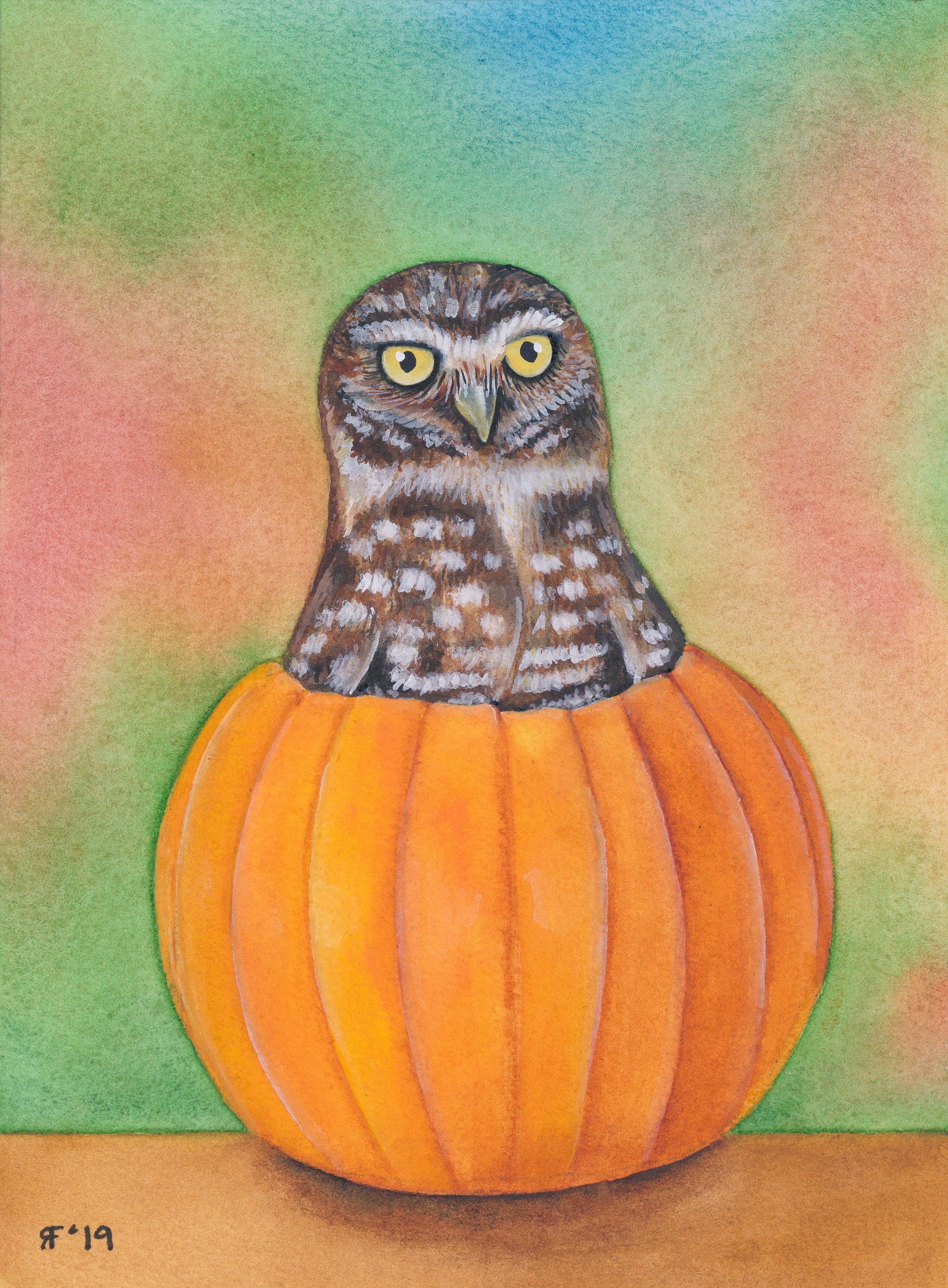 Burrowing Owl