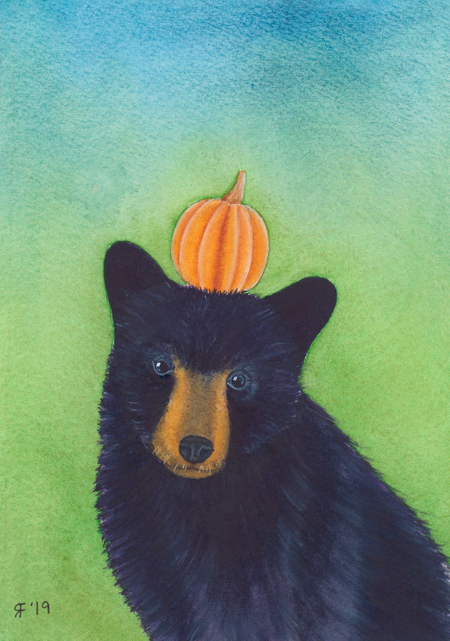 Black Bear
