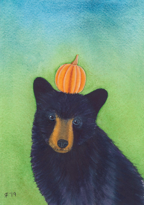 Black Bear