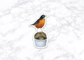 Robin on Chocolate Ice Cream Sticker, Water Bottle Stickers, Laptop Stickers, Laptop Decals, Funny Stickers, Watercolor Stickers