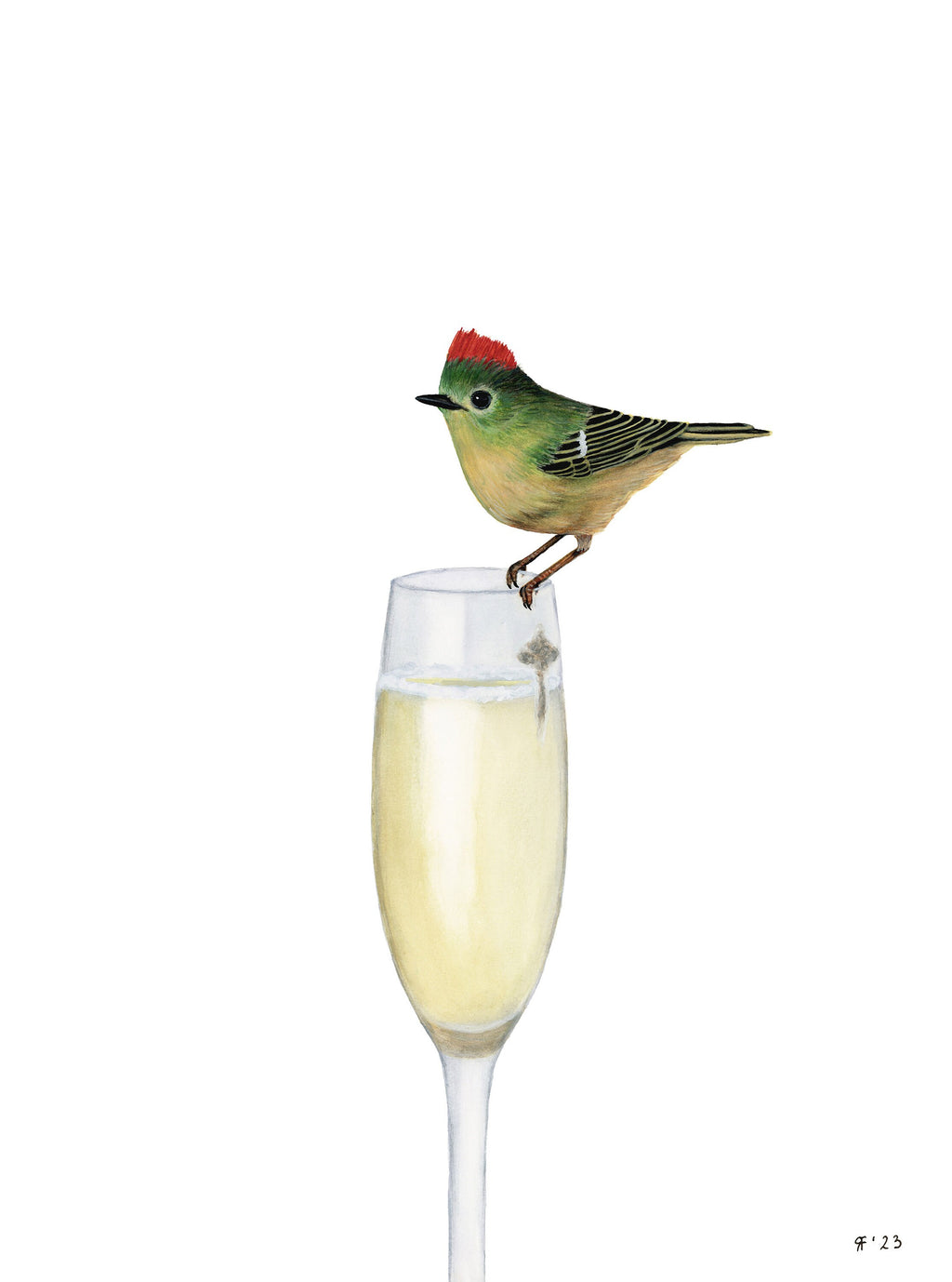 Ruby Crowned Kinglet and Champagne Art Print, Kitchen Wall Art, Food Wall Art, Whimsical Art Print Watercolor Painting, Funny Kitchen Art