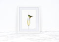 Ruby Crowned Kinglet and Champagne Art Print, Kitchen Wall Art, Food Wall Art, Whimsical Art Print Watercolor Painting, Funny Kitchen Art