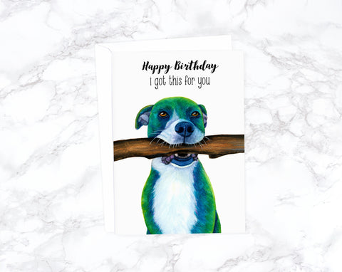 Happy Birthday, I got this for You — Blue Pit Bull Dog Birthday Card, Card From Dog, Animal Birthday Card, Funny Birthday Card