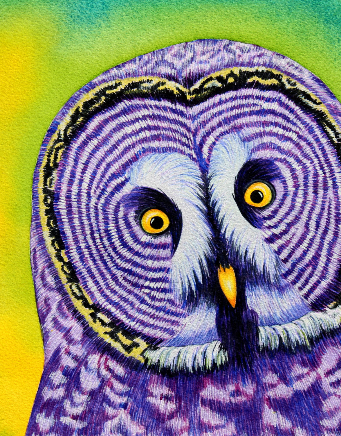 Great Grey Owl
