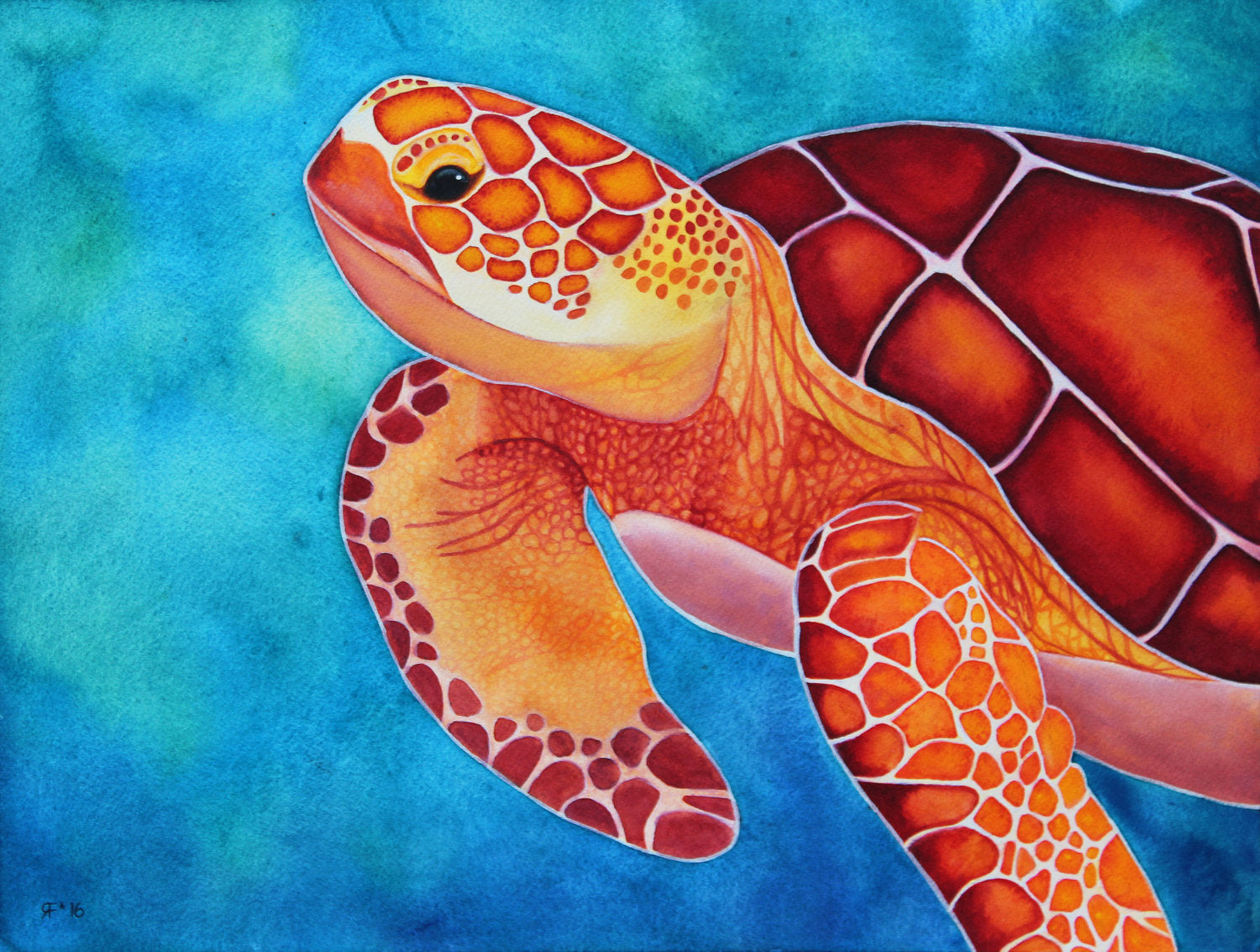 Green Sea Turtle
